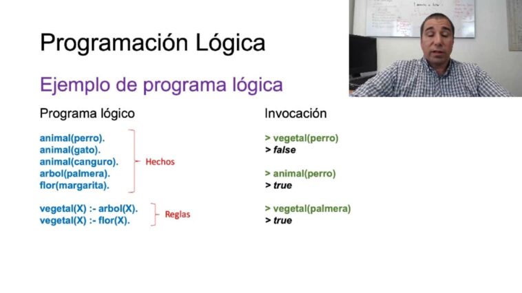¿Qué es Programación Lógica?